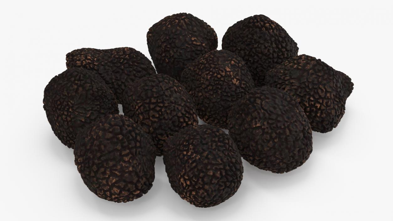 3D model Black Truffle 2