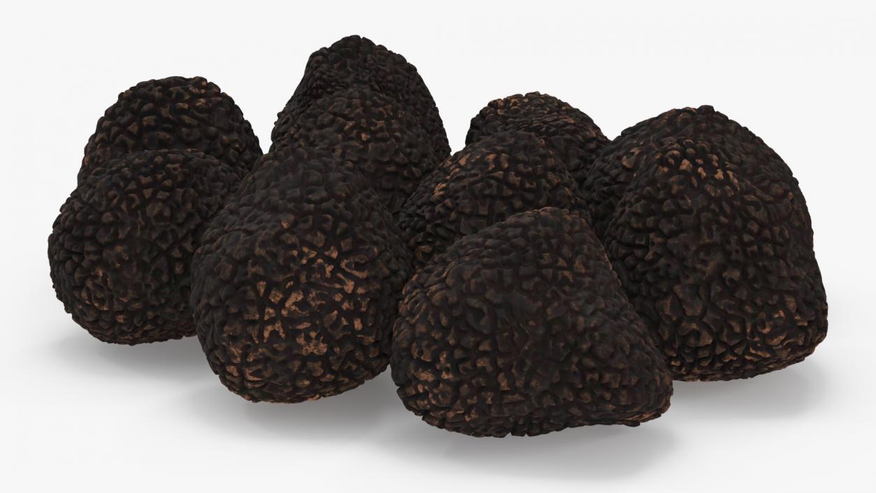 3D model Black Truffle 2