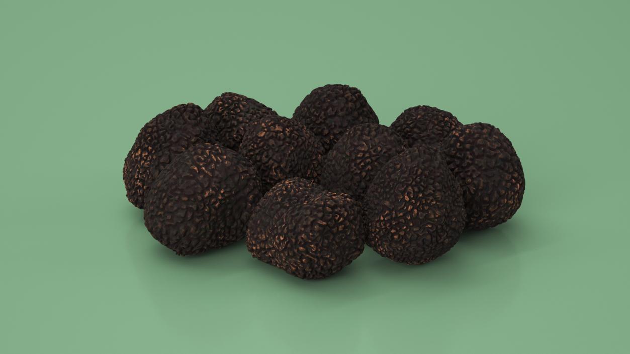 3D model Black Truffle 2