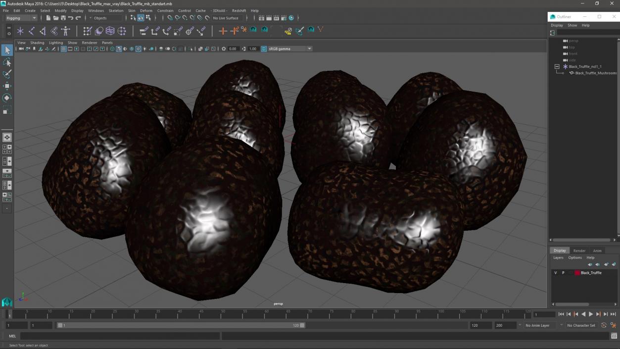 3D model Black Truffle 2