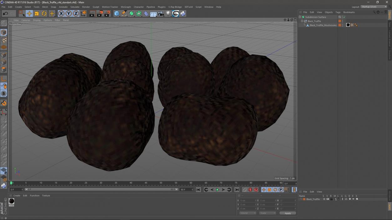 3D model Black Truffle 2