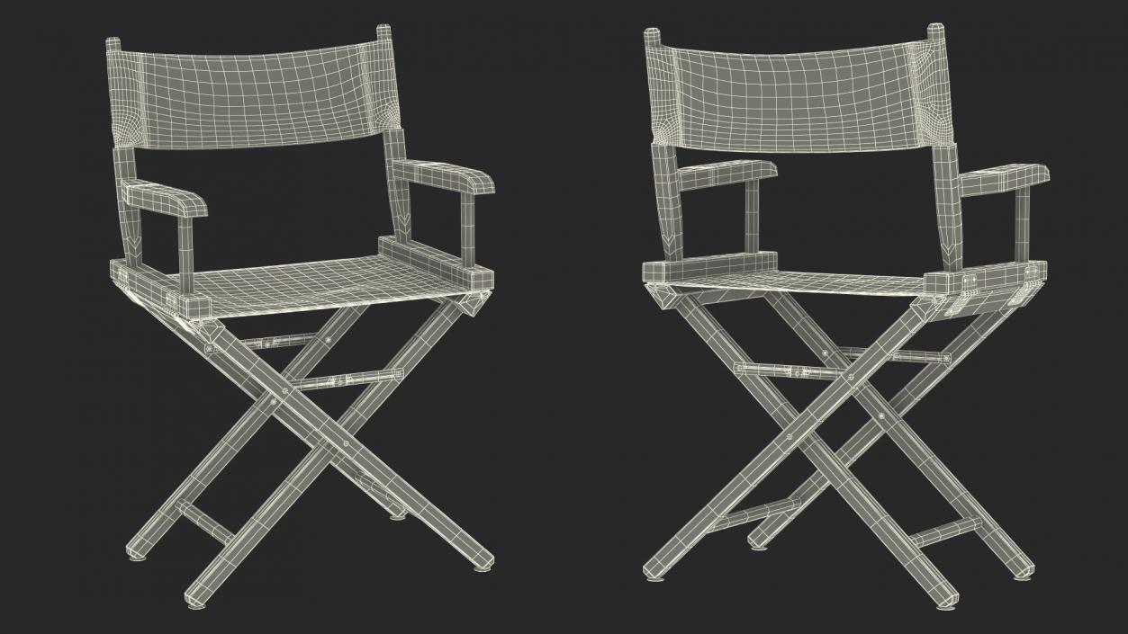 3D Premium Directors Chair model