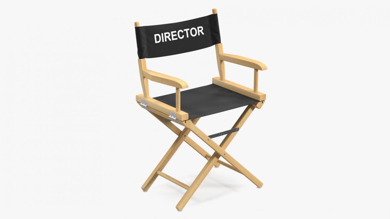 3D Premium Directors Chair model