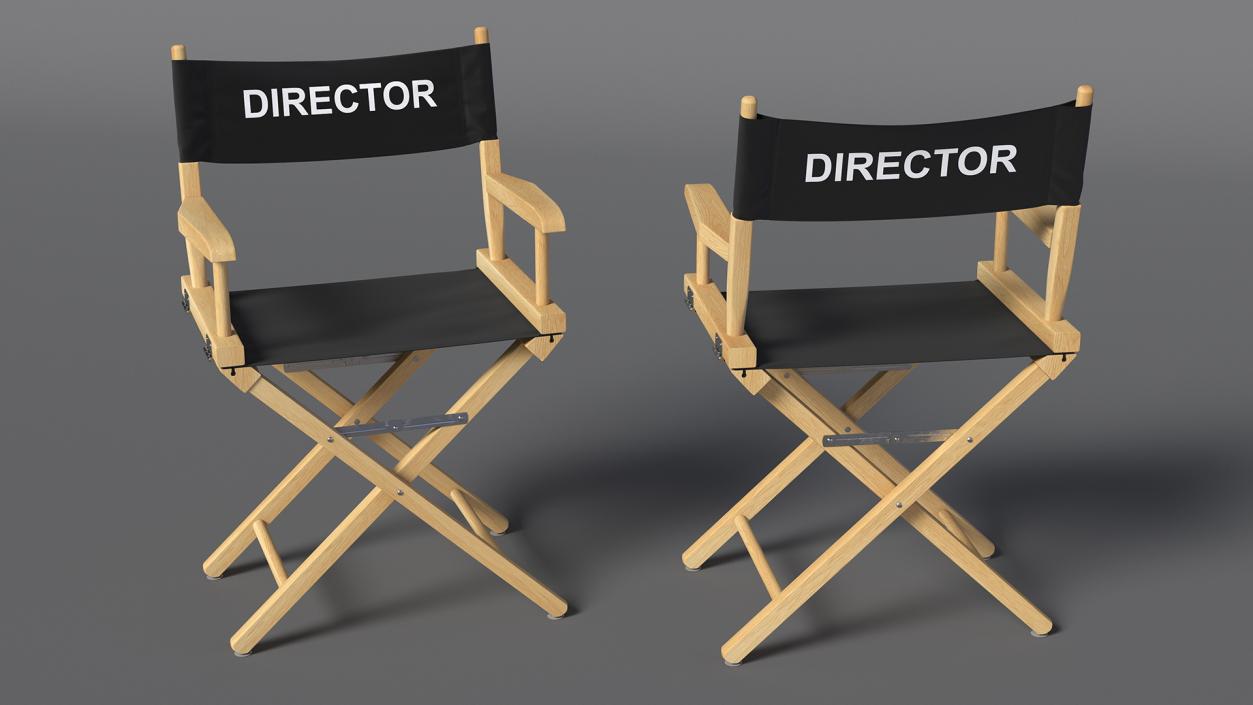 3D Premium Directors Chair model