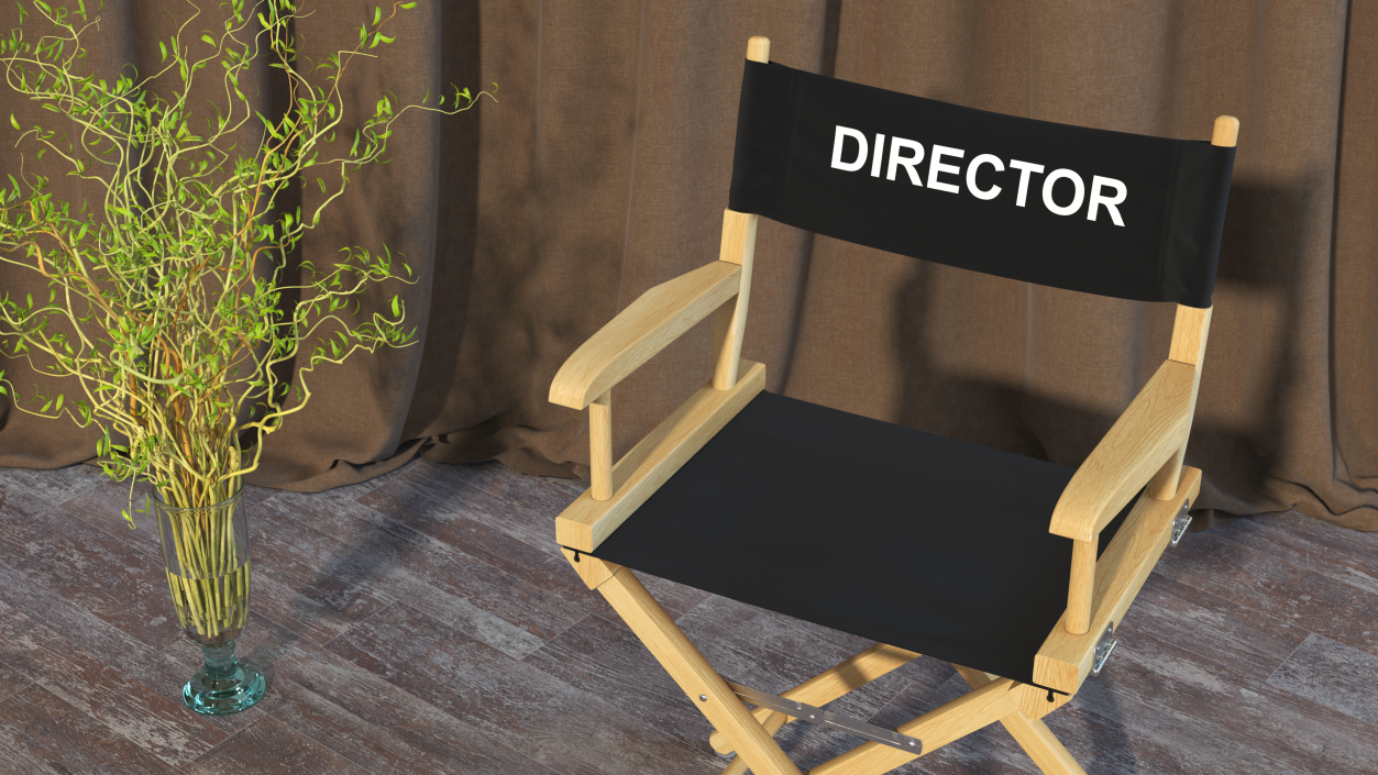 3D Premium Directors Chair model