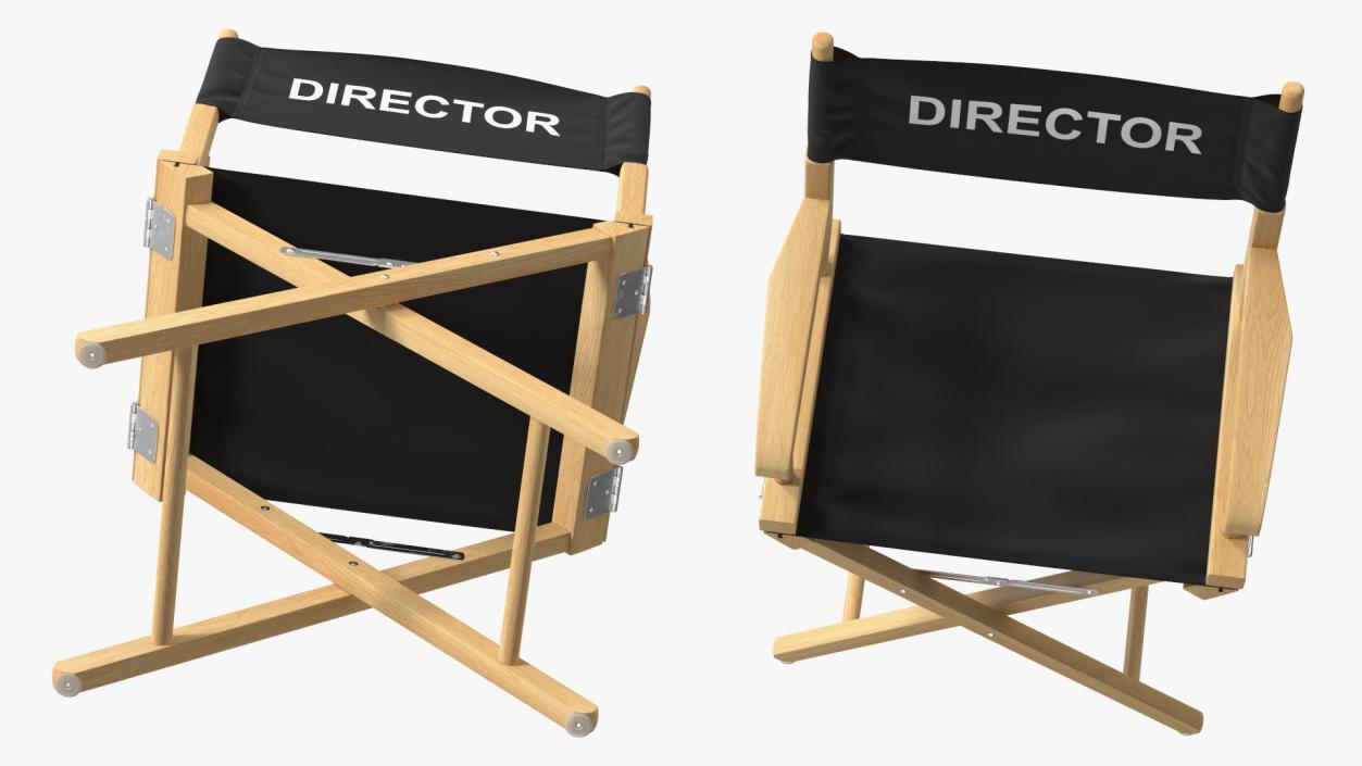 3D Premium Directors Chair model