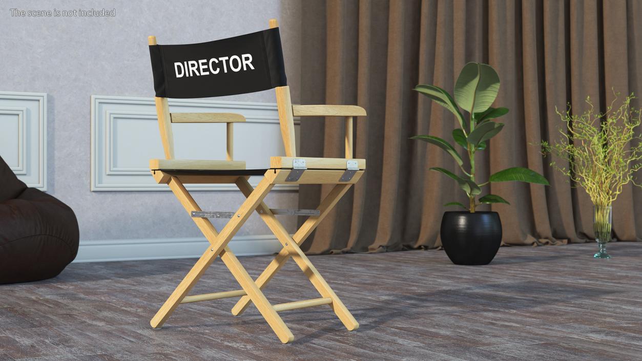 3D Premium Directors Chair model