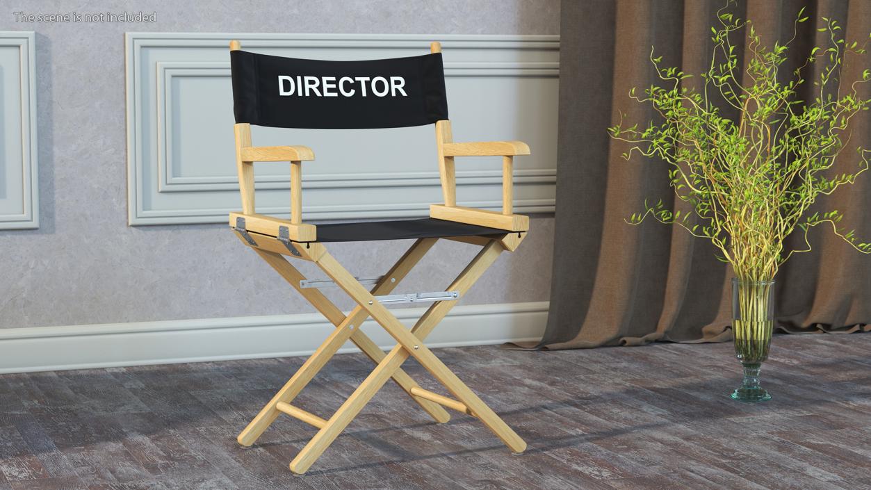 3D Premium Directors Chair model