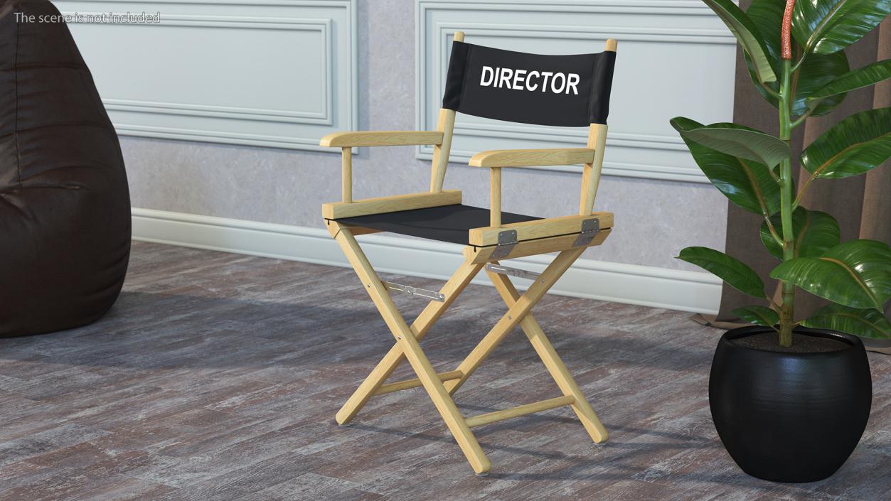 3D Premium Directors Chair model