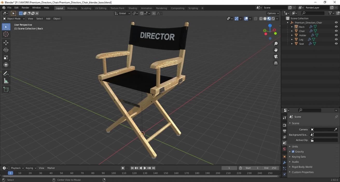 3D Premium Directors Chair model