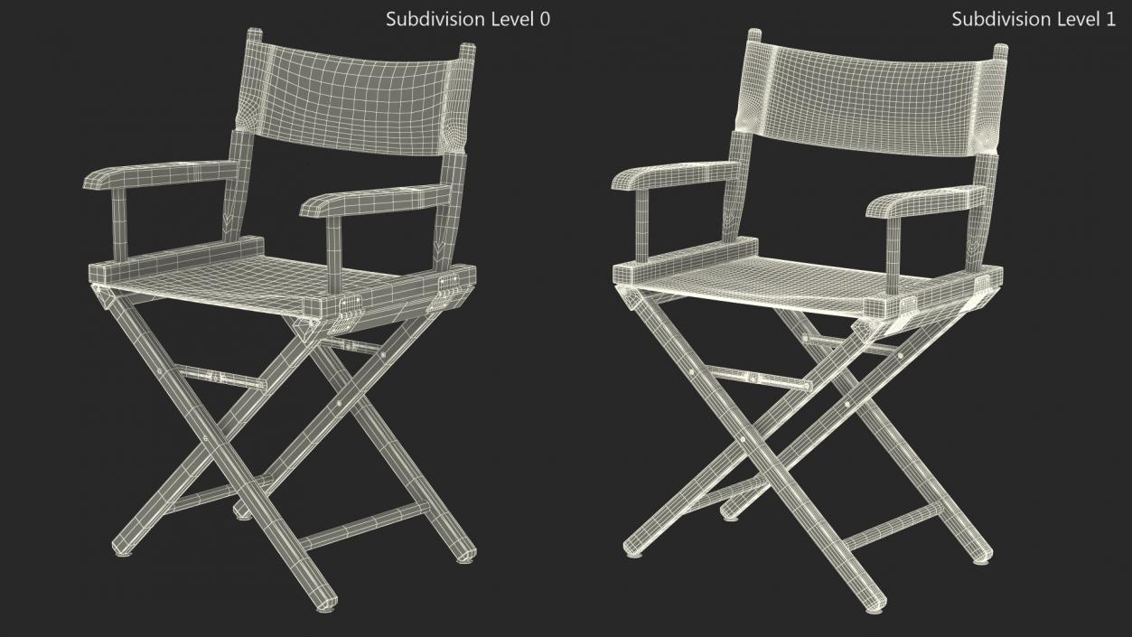 3D Premium Directors Chair model