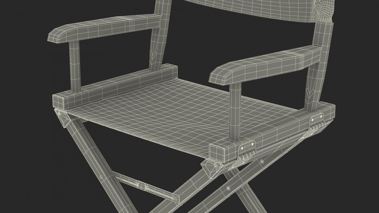 3D Premium Directors Chair model