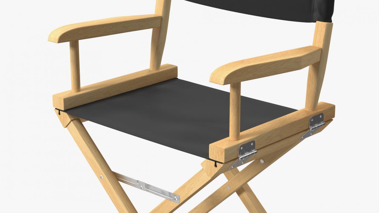 3D Premium Directors Chair model