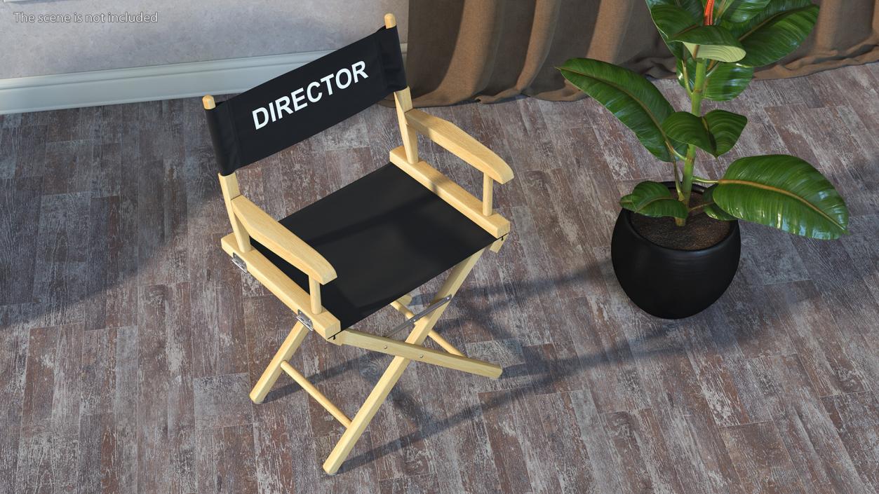 3D Premium Directors Chair model