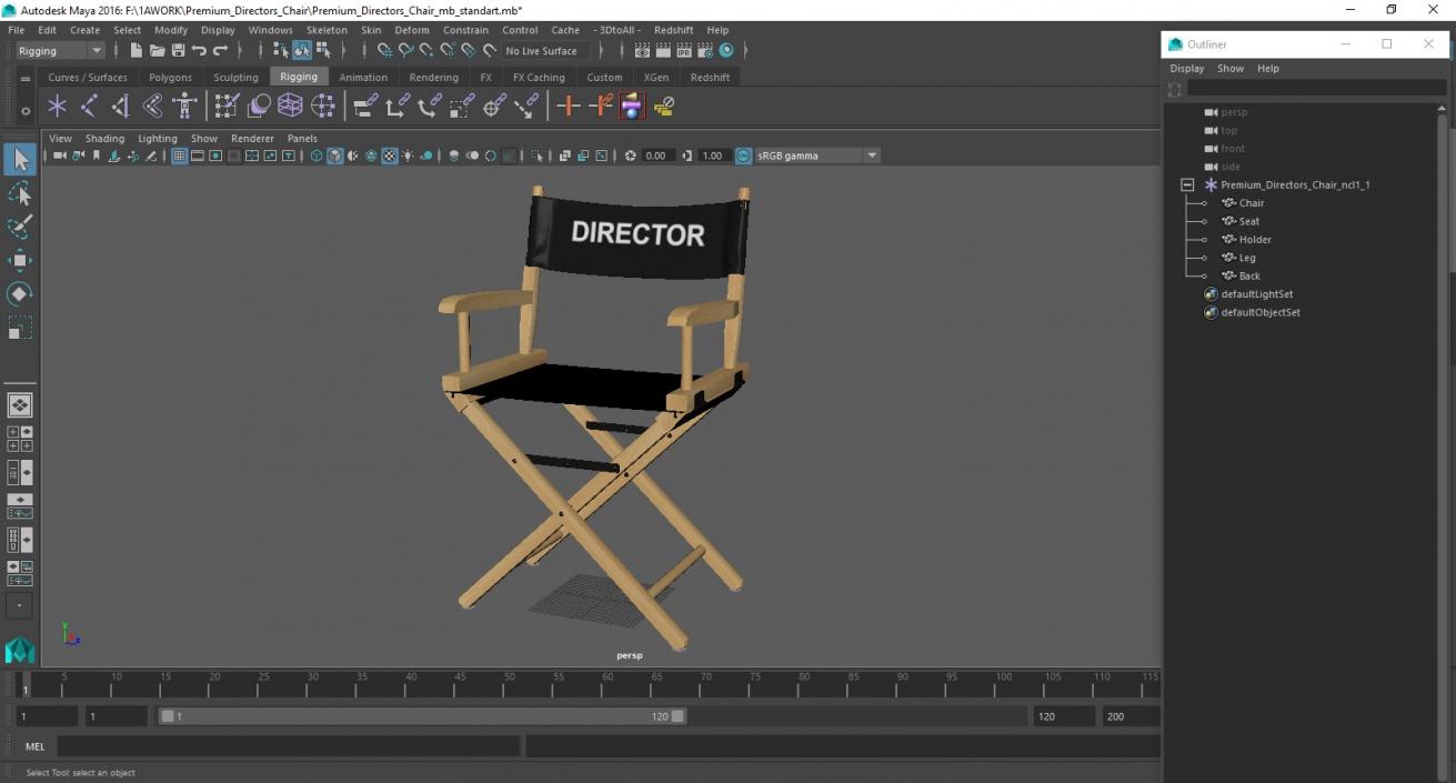 3D Premium Directors Chair model