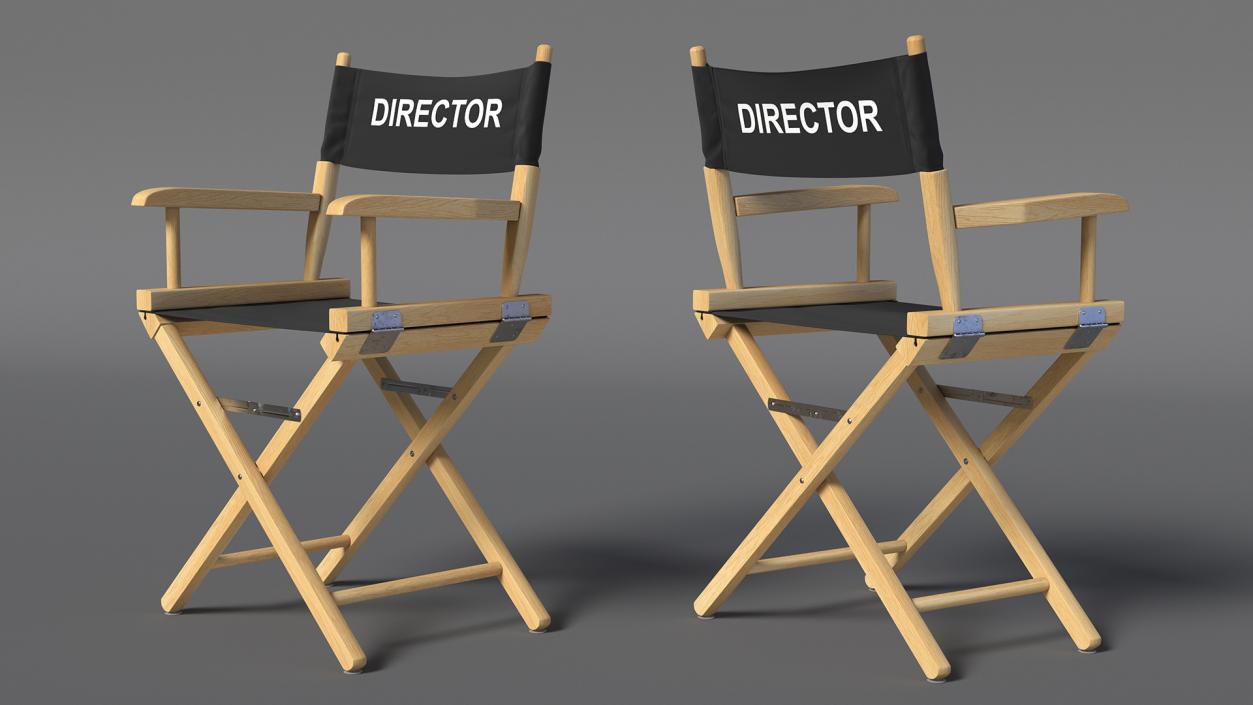 3D Premium Directors Chair model