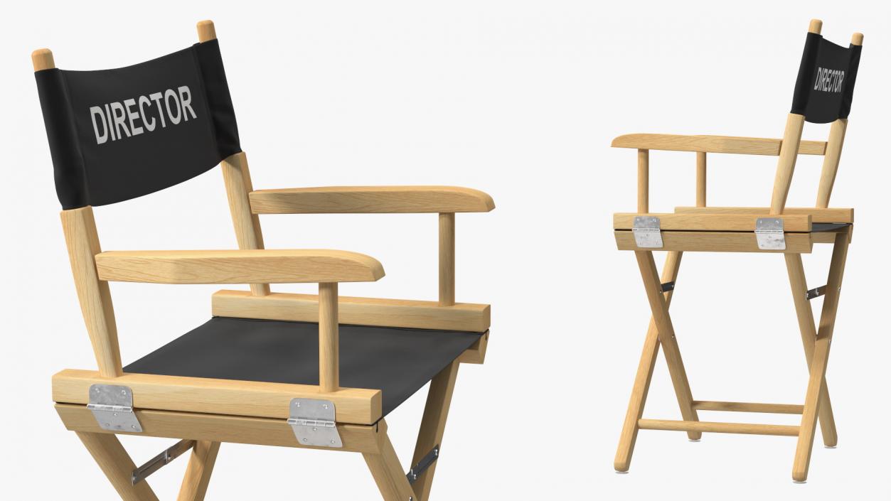 3D Premium Directors Chair model