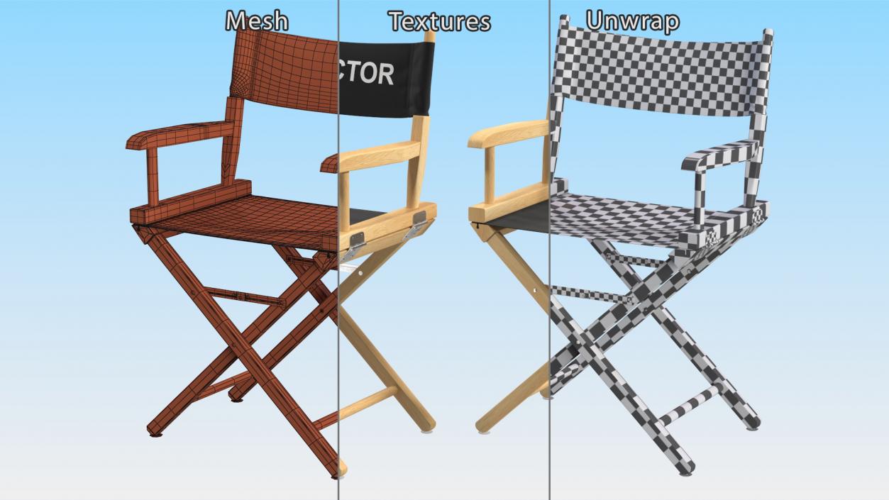 3D Premium Directors Chair model