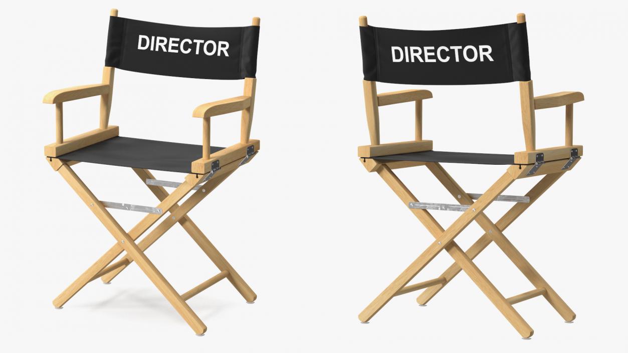 3D Premium Directors Chair model