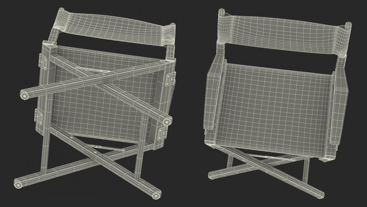 3D Premium Directors Chair model