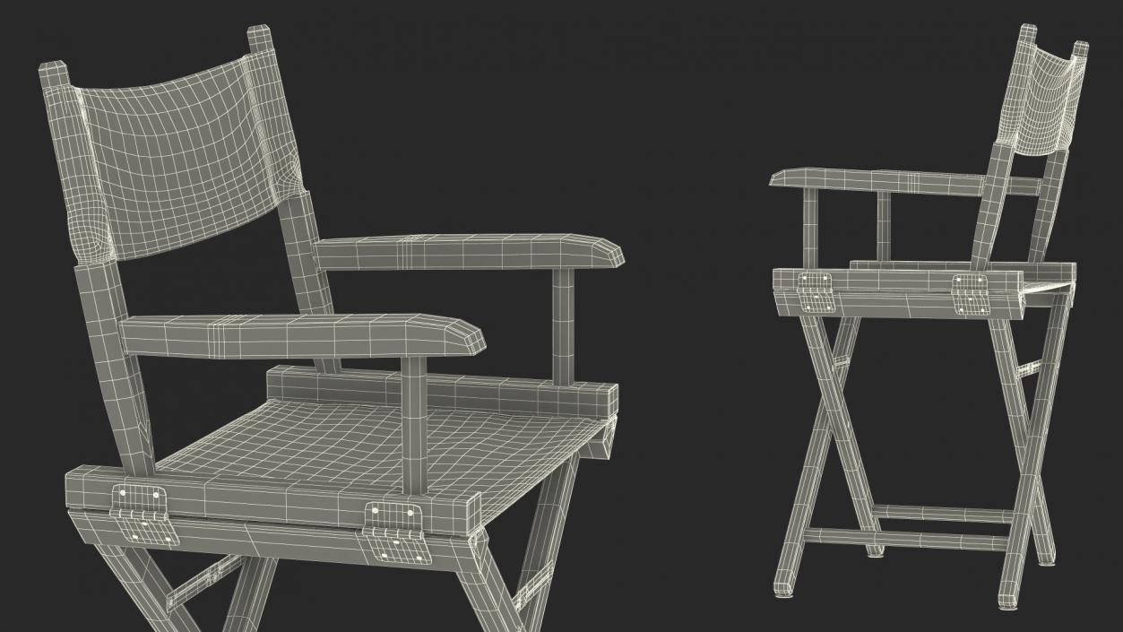 3D Premium Directors Chair model