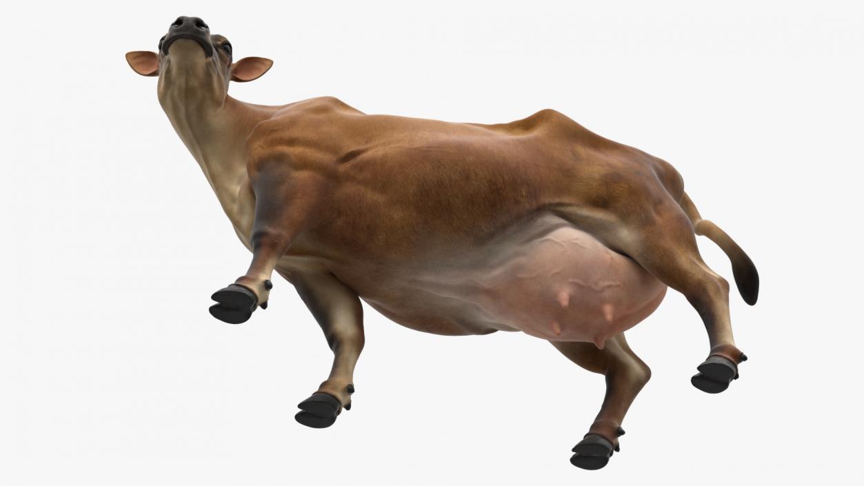 Channel Island Cow Brown 3D model