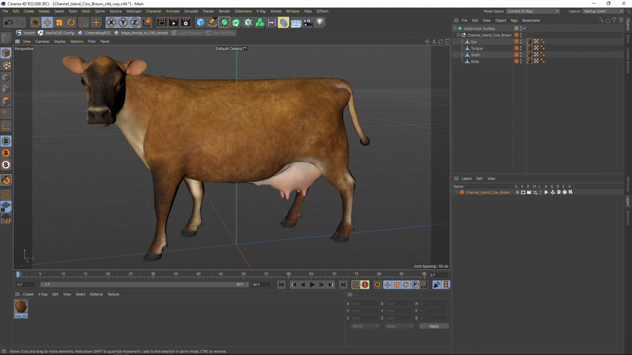 Channel Island Cow Brown 3D model