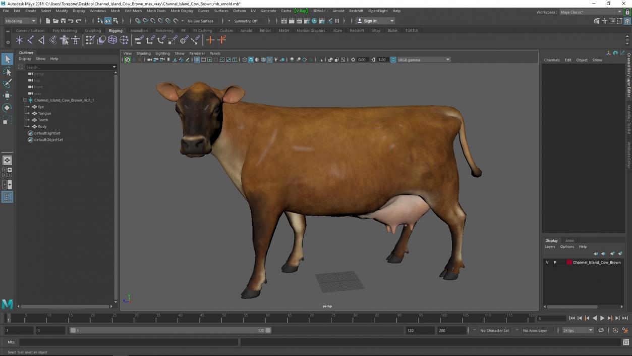 Channel Island Cow Brown 3D model