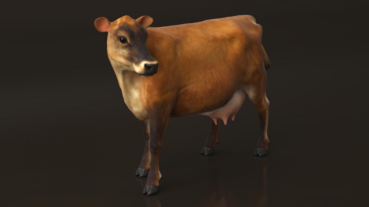 Channel Island Cow Brown 3D model