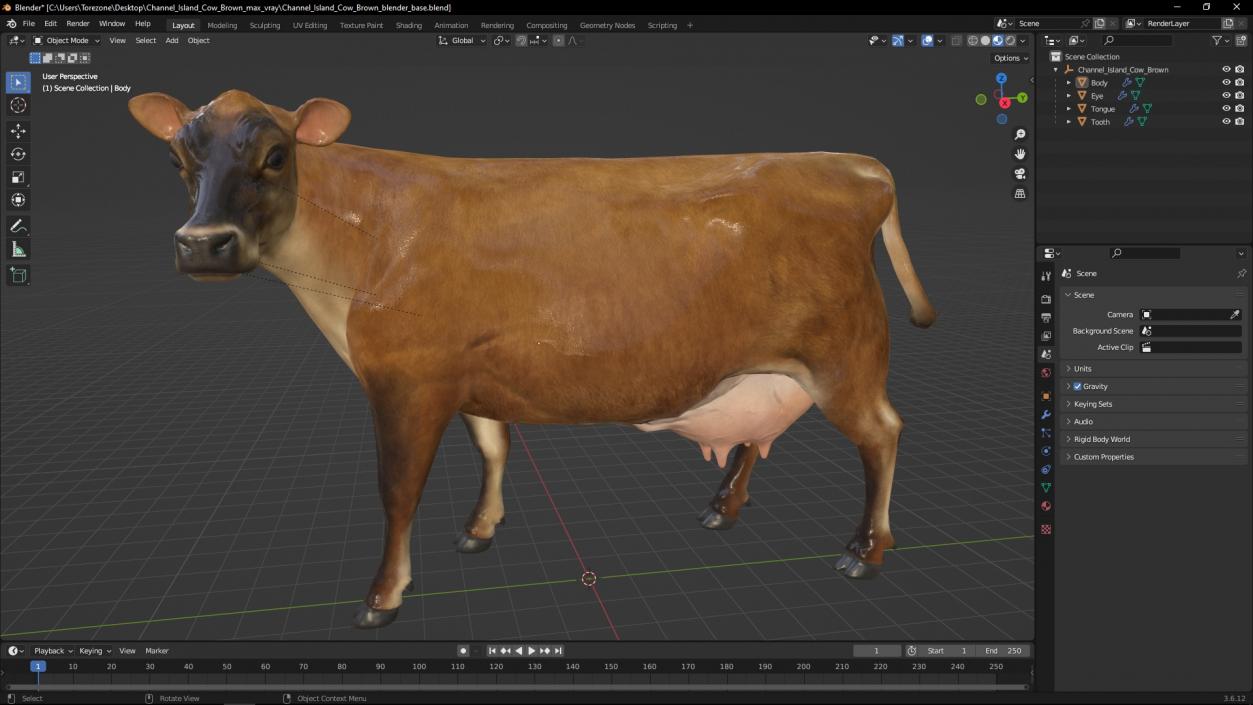 Channel Island Cow Brown 3D model