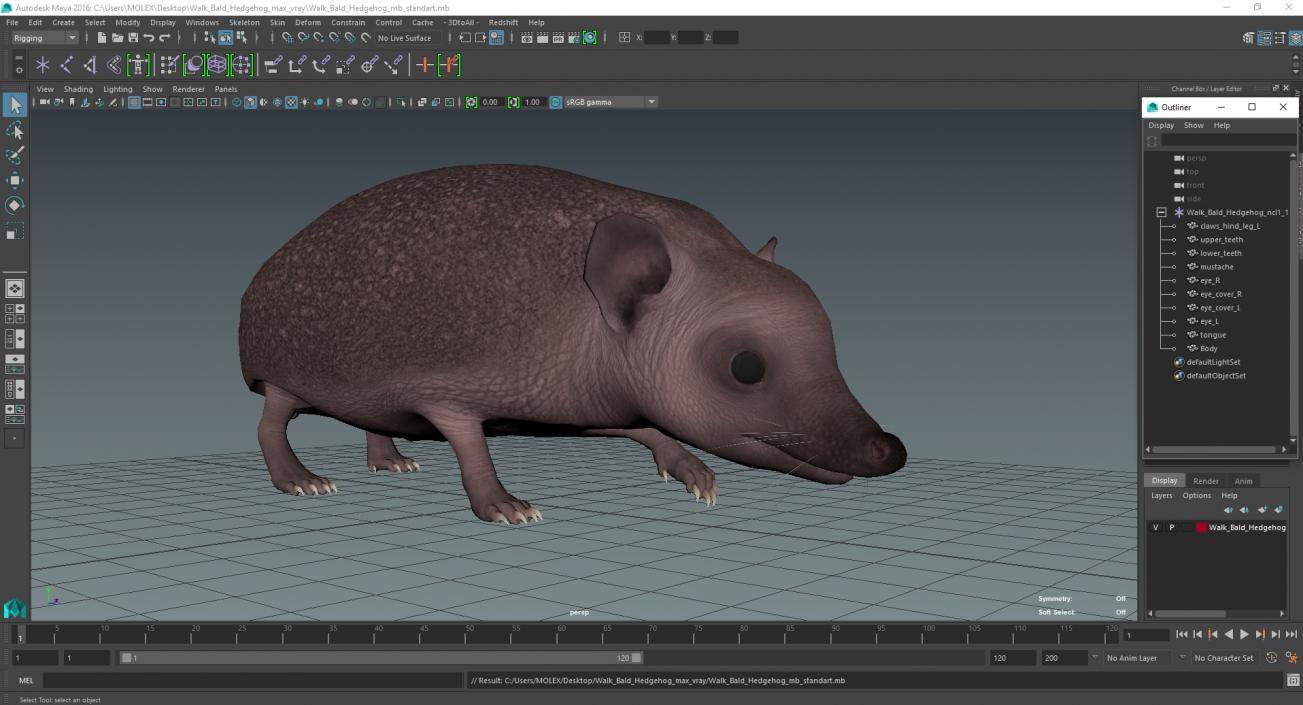 3D Walk Bald Hedgehog model