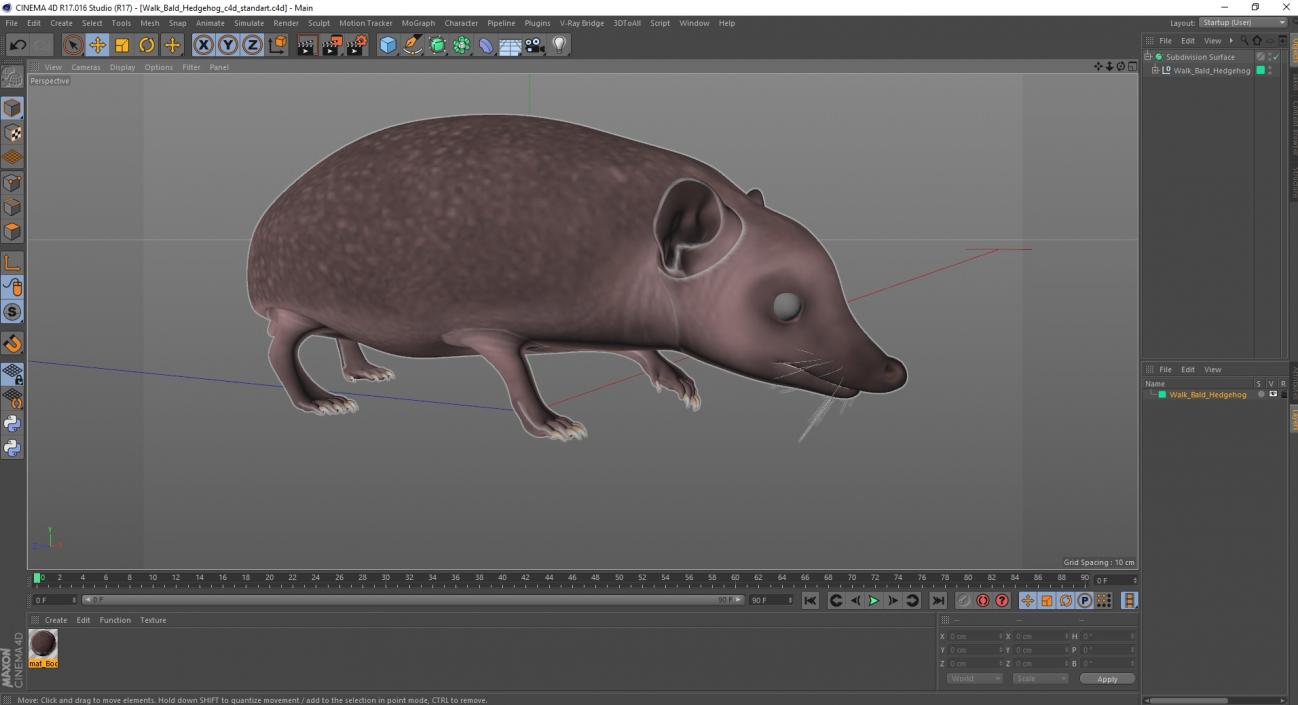 3D Walk Bald Hedgehog model