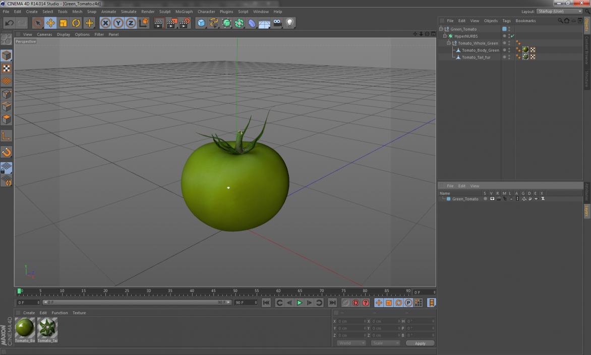 Green Tomato 3D