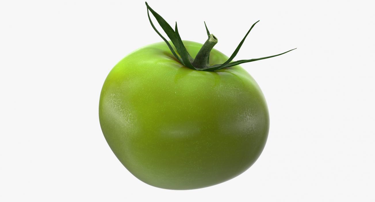 Green Tomato 3D