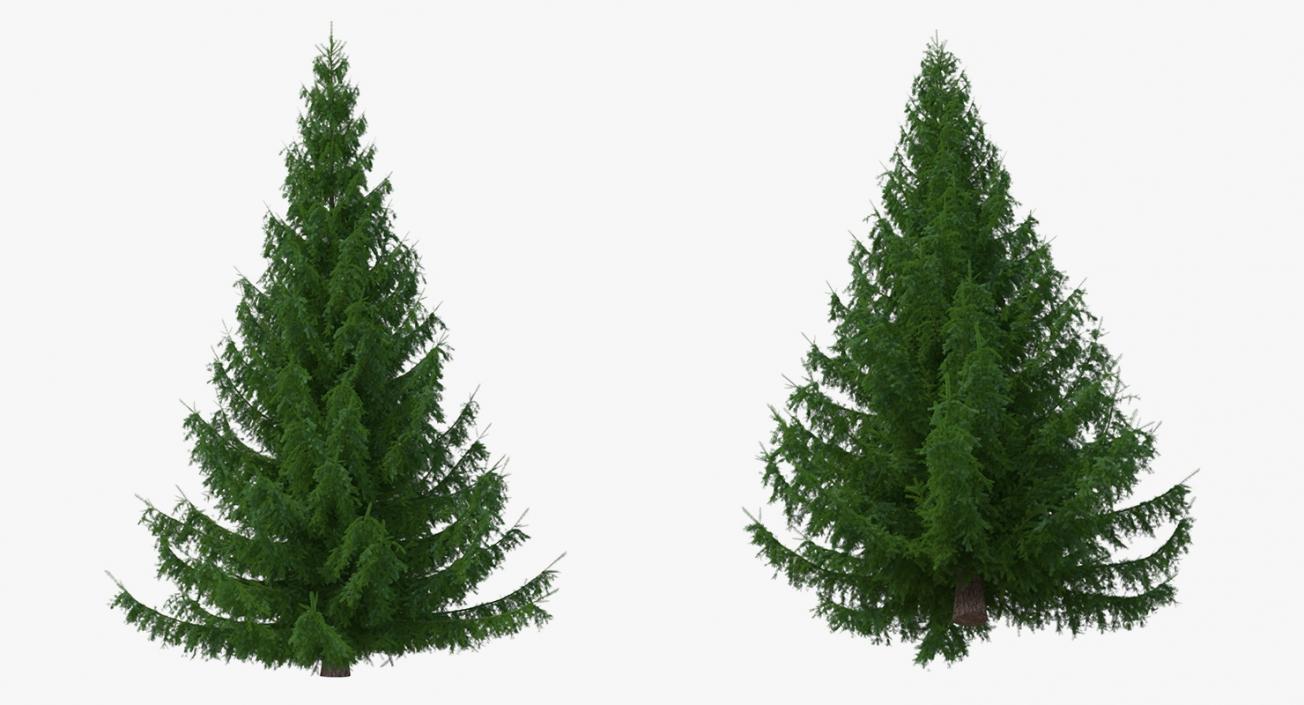 3D Evergreen Trees Collection 2 model