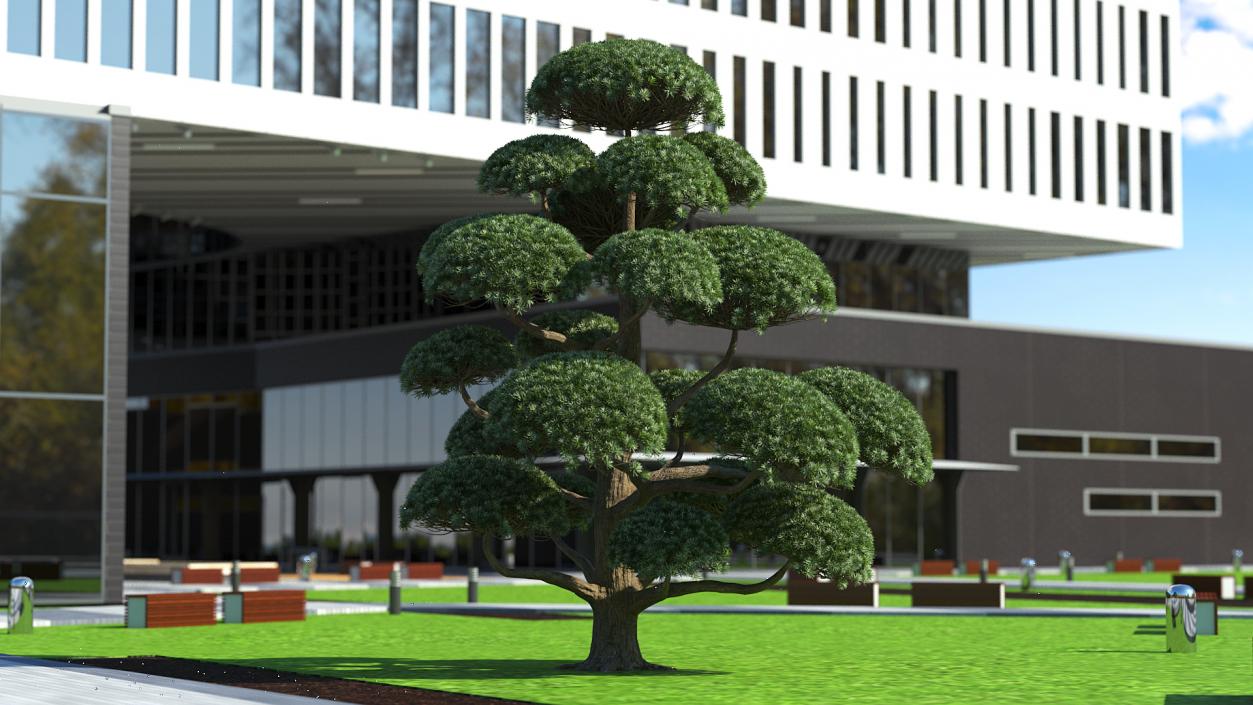 3D Evergreen Trees Collection 2 model