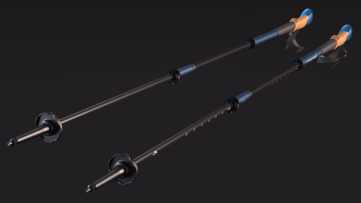 3D model Blue Black Diamond Carbon Trekking-Poles