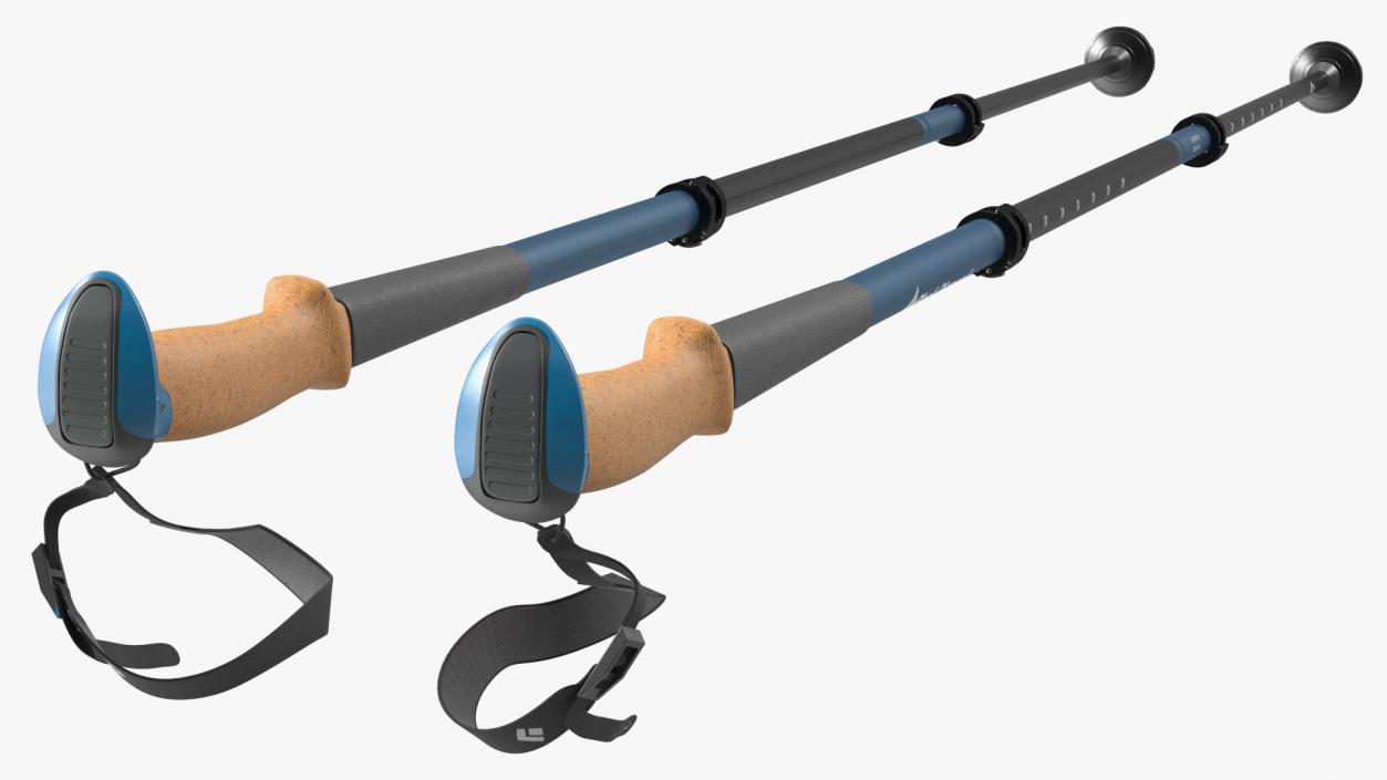 3D model Blue Black Diamond Carbon Trekking-Poles