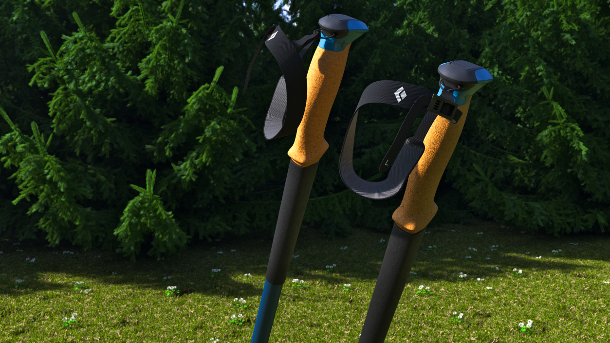 3D model Blue Black Diamond Carbon Trekking-Poles