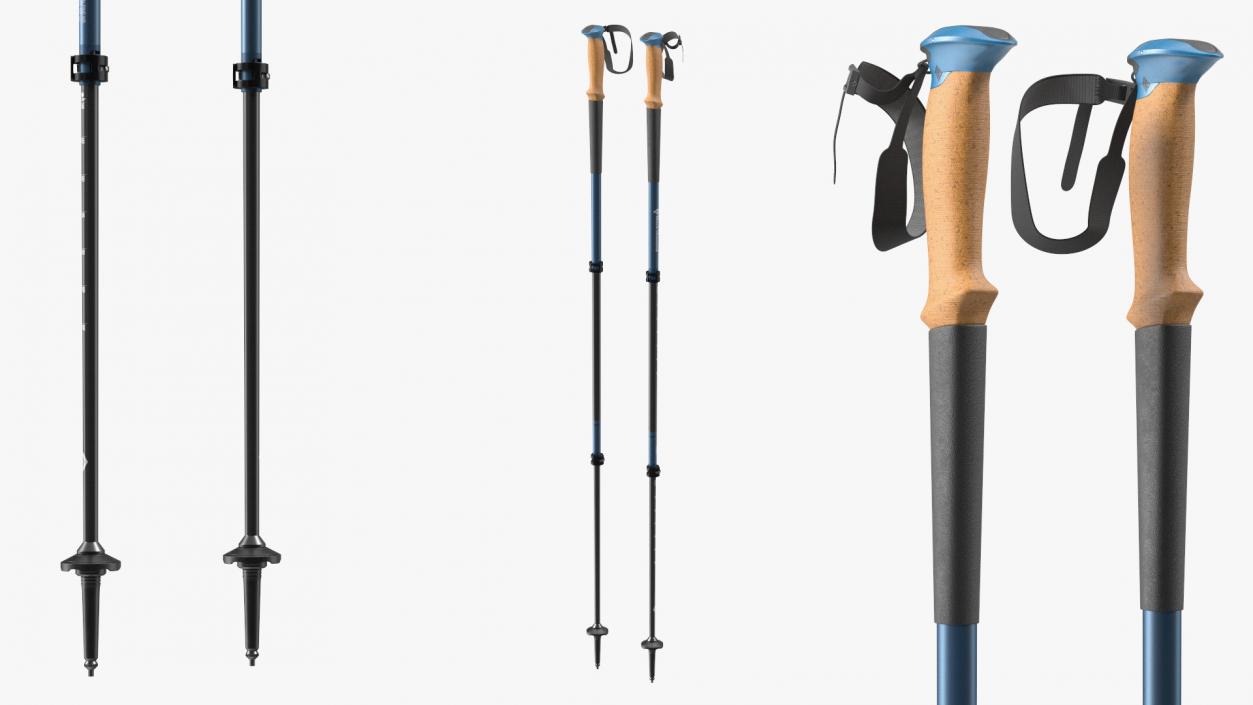 3D model Blue Black Diamond Carbon Trekking-Poles