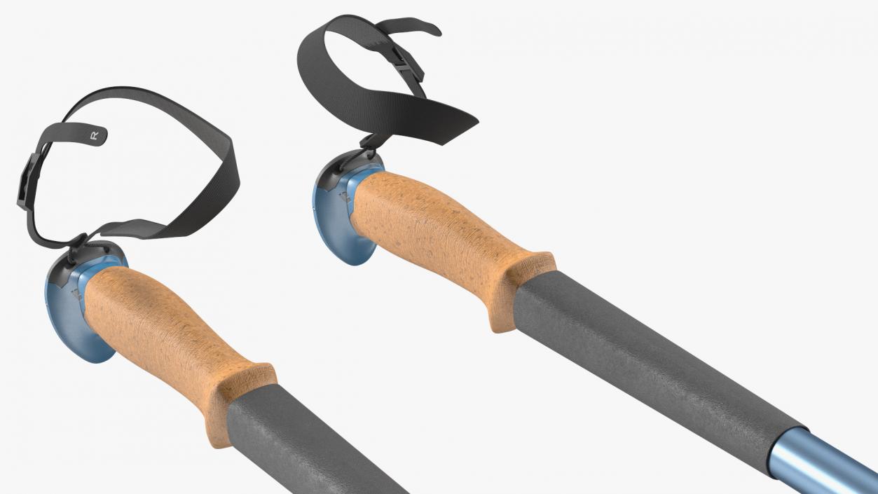 3D model Blue Black Diamond Carbon Trekking-Poles