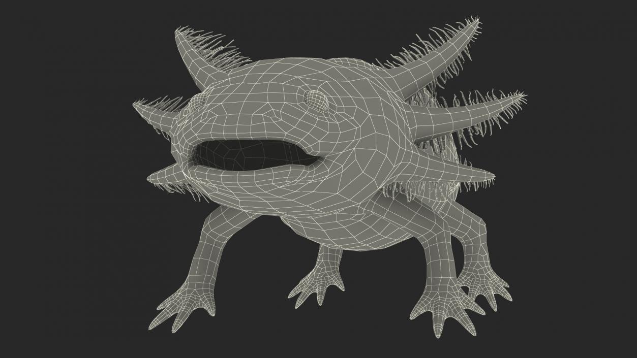 3D Gold Albino Axolotl Rigged 2 model