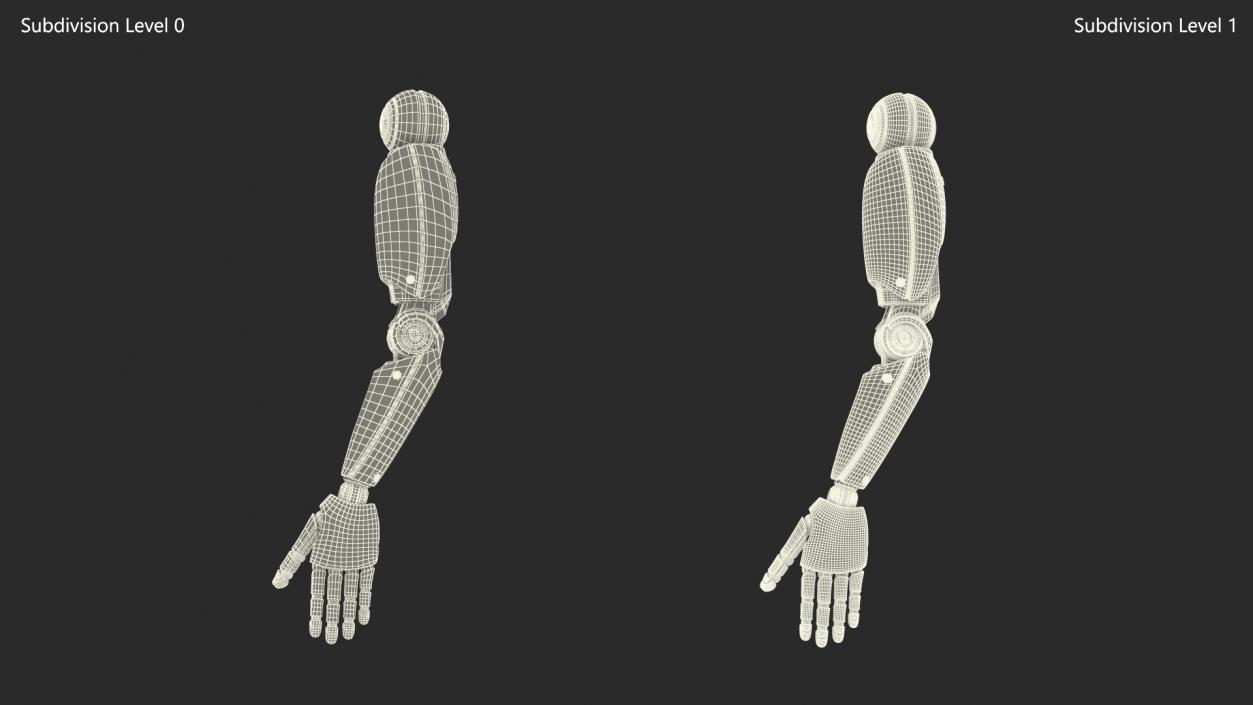 Futuristic Humanoid Robot Arm 3D model