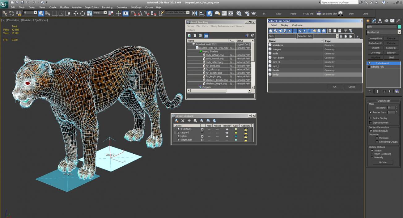 3D Leopard with Fur