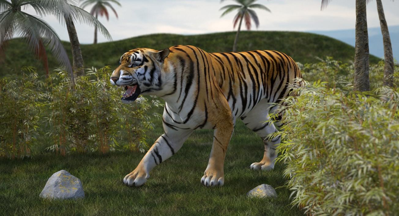 Tiger Rigged 3D