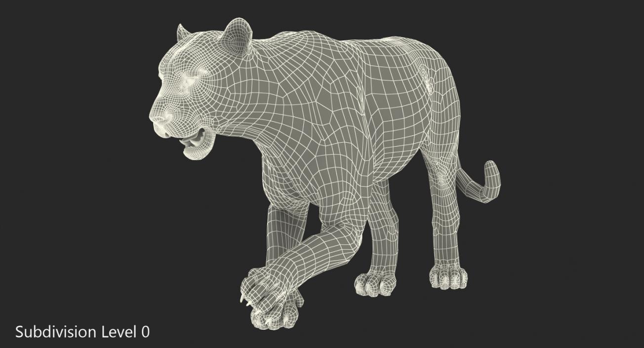 Tiger Rigged 3D