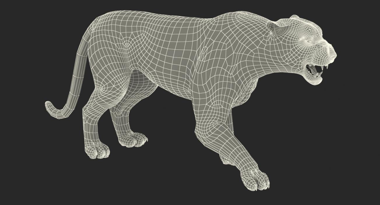 Tiger Rigged 3D