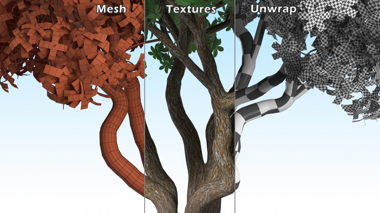 3D model Rhododendron Tree Foliage