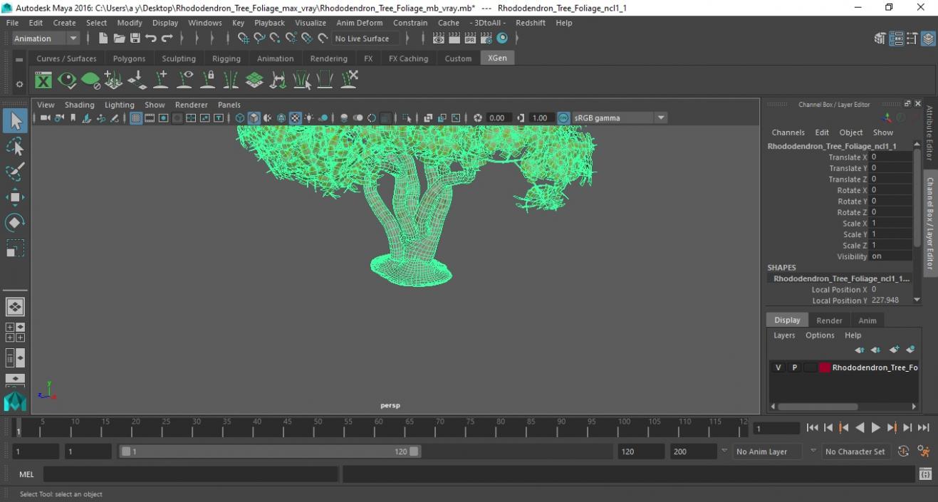 3D model Rhododendron Tree Foliage