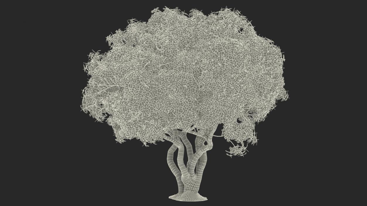 3D model Rhododendron Tree Foliage